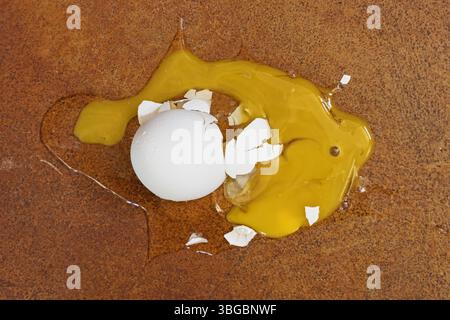 white chicken egg broken from being dropped onto an orange stained concrete floor Stock Photo