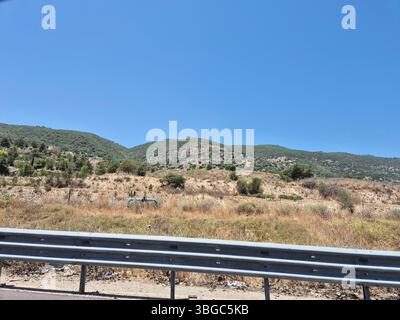 A dry grassy hillside with scattered trees under clear blue skies, typical Mediterranean summer landscape in rural environment. Stock Photo