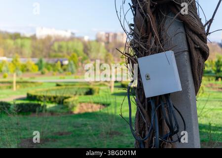 Outdoor utility box mounted on a concrete pole wrapped in vines, with a green landscaped park and distant buildings in the background. Stock Photo