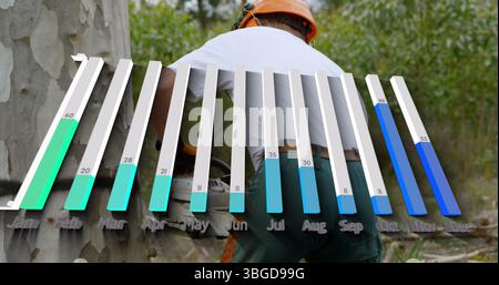 Mature arborist wearing helmet using chainsaw cutting trunk in logging site, with 3D chart columns Stock Photo
