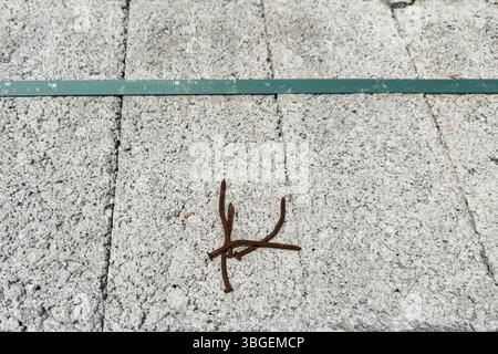 Rusty nails lying on stacked aerated concrete blocks secured with green strap. No people. Useful for construction, industrial themes and backgrounds. Stock Photo