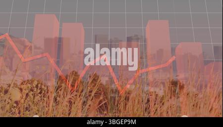Displaying red bar chart and jagged line graph over dry grass and city skyline, data visualization Stock Photo