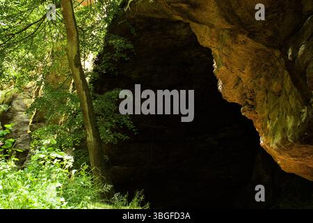 Sunlight pierces through the dense forest, revealing the textured entrance of a hidden cave tucked in the lush greenery of a rocky woodland path. Stock Photo
