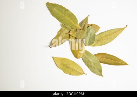 Scattered dried bay leaves on a white background, aromatic herb used in cooking and food styling. Stock Photo
