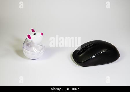 Cat toy mouse facing a computer mouse on white background, humorous tech and animal wordplay concept. Stock Photo