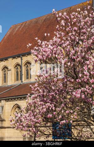 Spring in Bath Stock Photo - Alamy