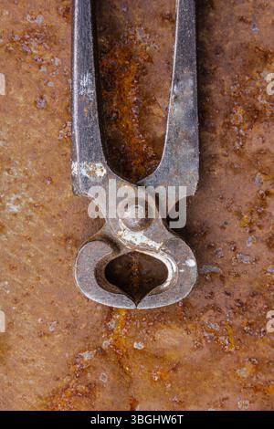 Old rusty pliers on a rusty background, close-up Stock Photo