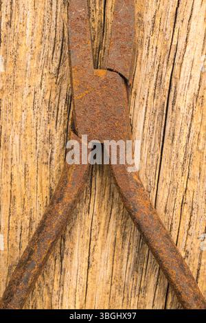 Old rusty pliers on a rusty background, close-up Stock Photo