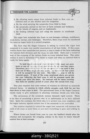 'Through the Leaves, 1926' is a publication from 1926 that includes a subject index covering pages 532-539. It likely focuses on topics related to the environment, culture, and nature, though further details would depend on the content within the full text. Stock Photo