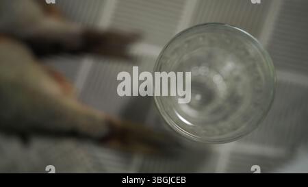 Vodka Glasses on Table with Dried Fish – Traditional Russian Snack Stock Photo