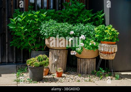 Many different pots with flowers standing on the street to decorate the terrace. Country decor Stock Photo
