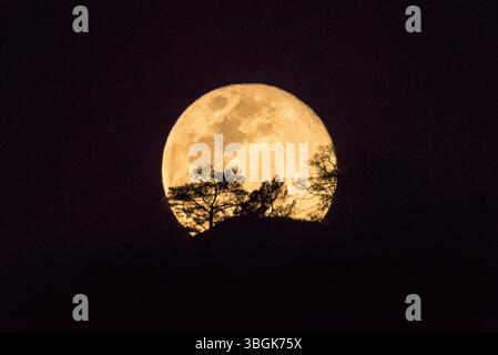 Moonrise at Amatlán, Morelos, Mexico. Stock Photo