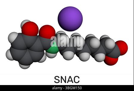 Sodium salcaprozate, SNAC molecule. Absorption enhancer for oral ...