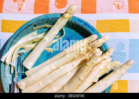 White asparagus with peeler on a turquoise clay plate on a colored towel Stock Photo