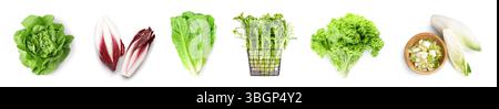 Many different types of lettuce on white background Stock Photo