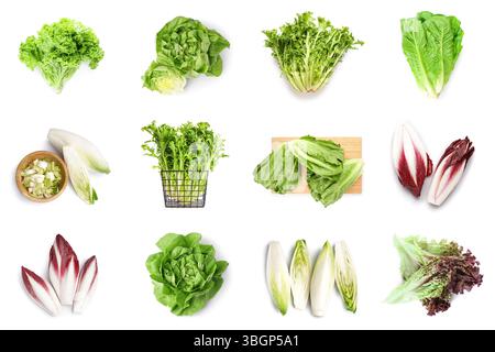 Many different types of lettuce on white background Stock Photo