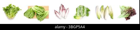 Many different types of lettuce on white background Stock Photo