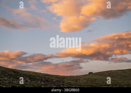 Ridge Of Tundra Along Trail Ridge Road At Sunset In Rocky Mountain National Park Stock Photo