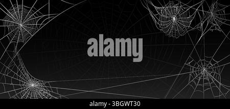 Halloween old spooky cobweb with various sizes and shapes background. Stock Vector