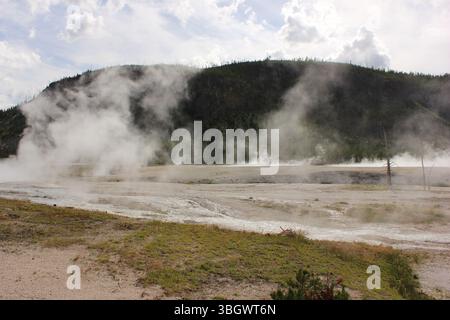 Geothermal activity creates steam rising from a hot spring, obscuring ...