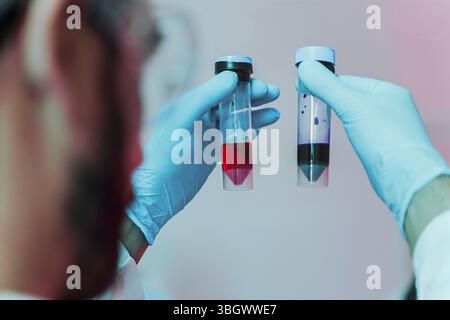 Close-up of a scientist or lab technician in sterile gloves holding and comparing two test tubes with red and purple liquid samples, possibly a blood Stock Photo