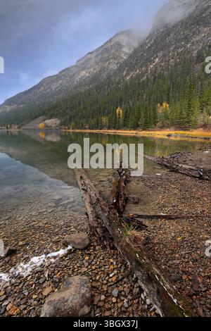 326 Transparent, reflective Lower Waterfowl Lake green water at the foot of misty mountains, fallen trunks on the SE end bank. Banff NP-Alberta-Canada Stock Photo