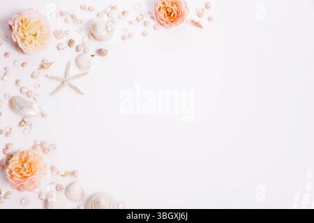 Summer beach flat lay with seashells, starfish, coral roses, soft shadows, white background, copy space, romantic vacation postcard, ocean themed Stock Photo