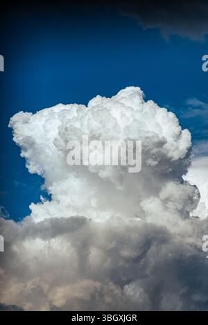 A large, towering cumulonimbus cloud dominates the frame, its brilliant white contrasting sharply against the deep blue sky. The cloud's texture is de Stock Photo