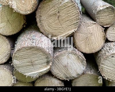 Neatly stacked logs arranged in a tidy pile, showcasing the rich textures of cut wood and bark. The image captures a rustic, prepared look Stock Photo