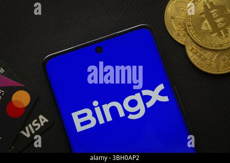 Smartphone displaying BingX logo surrounded by Bitcoin coins and payment cards Stock Photo