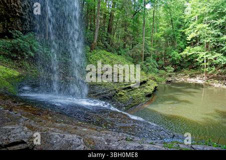 Standing next to the waterfall watching while it was spilling from above over the cliff into the pool of water surrounded by mossy boulders in the for Stock Photo