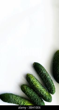 Five small cucumbers are laid out in a fan-like pattern on a clean white background, showcasing freshness and texture. Stock Photo