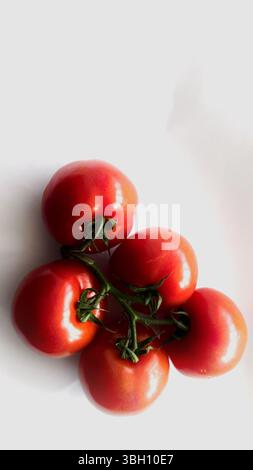 Organic vine tomatoes shot against a white background Stock Photo - Alamy