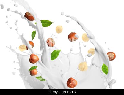 Nut milk splash with hazelnuts and green leaves in air on white background Stock Photo