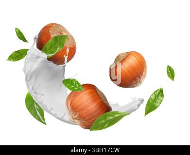 Nut milk splash with hazelnuts and green leaves in air on white background Stock Photo