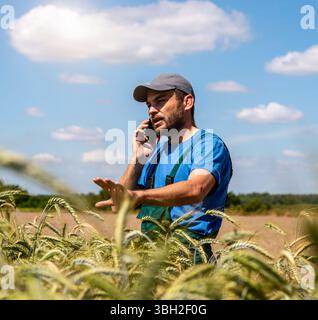 Focused male farmer talking on mobile phone by the triticale field in countryside. Stock Photo