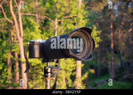 Professional camera with a zoom lens on a tripod in the forest, pointed to a sunset landscape for a pro or hobby photography concept Stock Photo