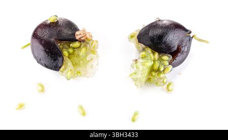 Smashed black currant berries isolated on white background Stock Photo