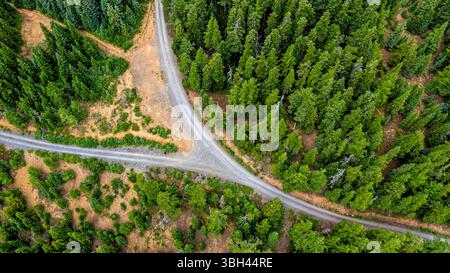 A gravel road splits through a dense forest, providing access for logging and recreation. Stock Photo