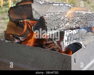 Firewood burning in a rusty metal tray for broiling pan in a fine sunny weather, close-up Stock Photo