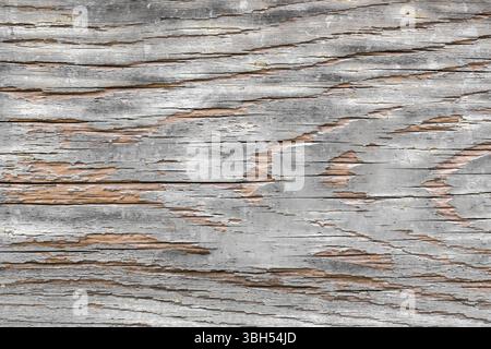 Texture/background wall of shabby paint and plaster cracks Stock Photo