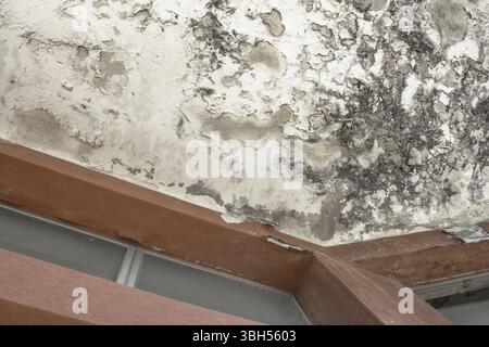 Effects of damp on plaster, damaged wall texture Stock Photo