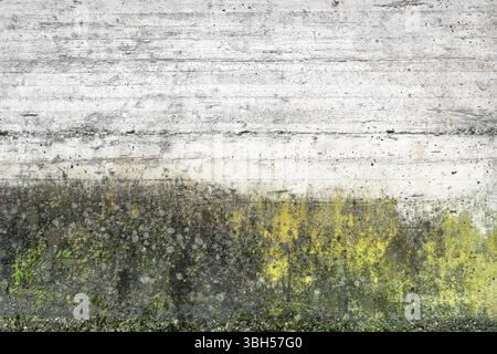 Mold and moss on grunge wall texture. The surface of old concrete wall covered with moss or algae Stock Photo