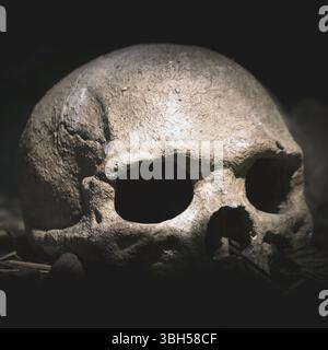Old skull. Real human skull on dark background. Vintage black background Stock Photo