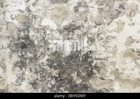 Mold and moisture buildup on a wall. Peeling paint, indicating damp. Ideal for concepts and backgrounds Stock Photo
