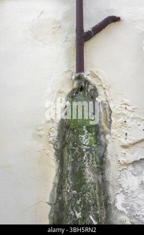 Rain water on the wall causing mold and peeling paint Stock Photo