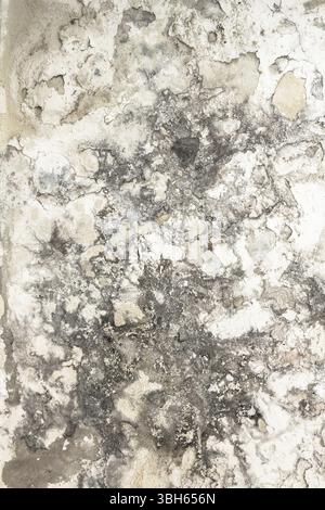 Effects of damp on plaster, damaged wall texture Stock Photo