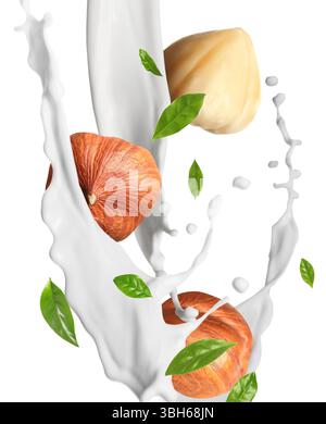 Nut milk splash with hazelnuts and green leaves in air on white background Stock Photo