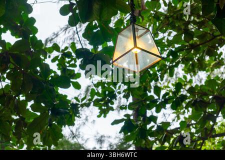 Lamp hanging from a tree with leaves. The light is on and the lamp is shining through the leaves Stock Photo