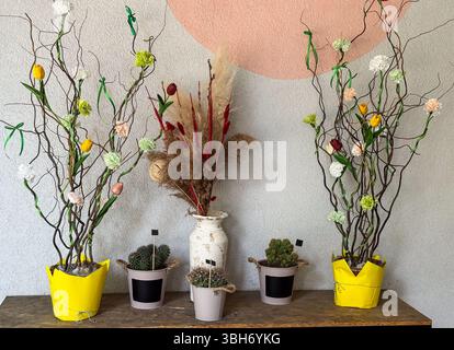 Decorative dried flowers and cacti on wooden shelf. Colorful floral arrangements with paper tulips and pampas grass in pots against pastel wall. Stock Photo